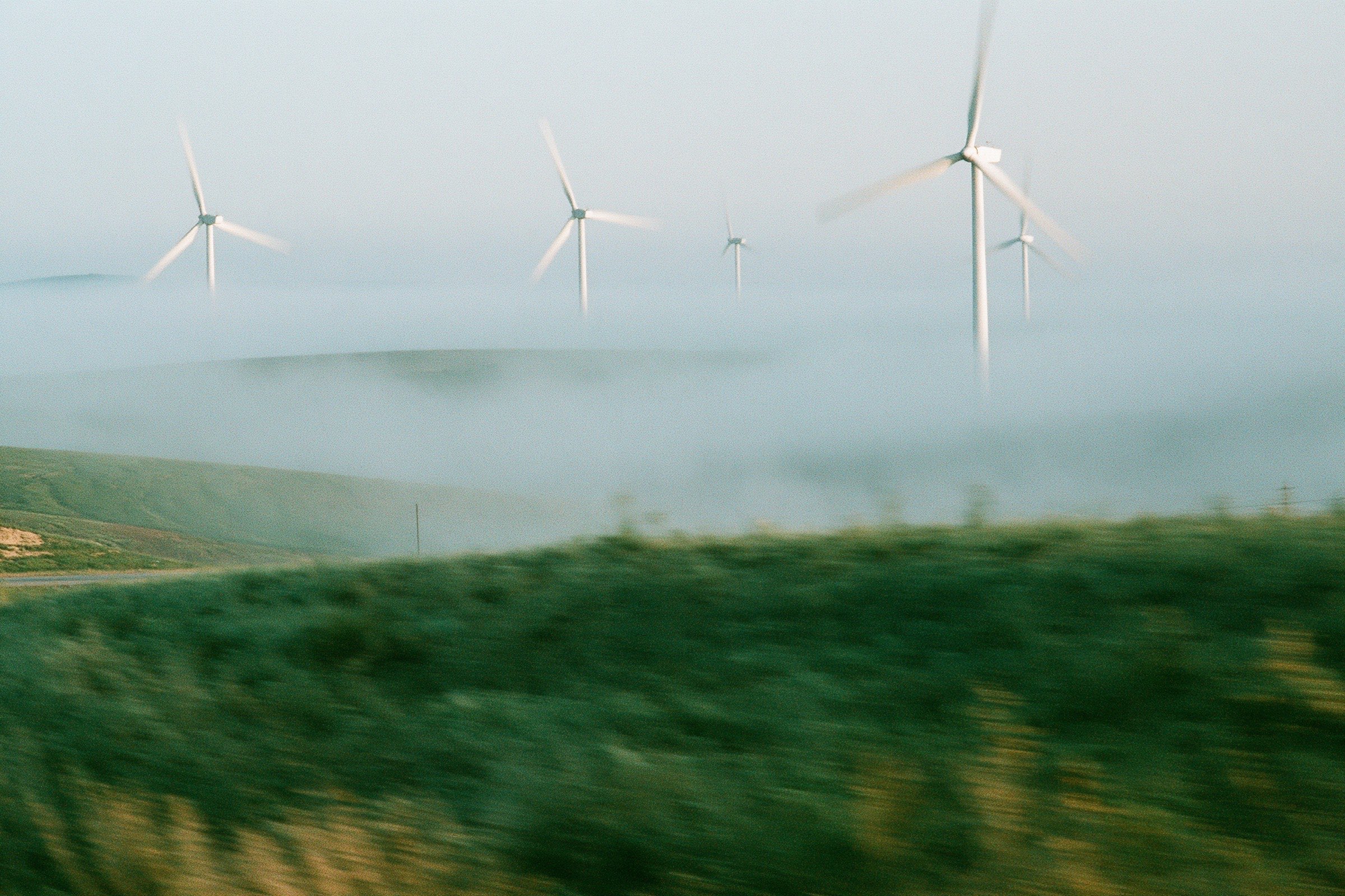 Wind turbines emerging through morning fog